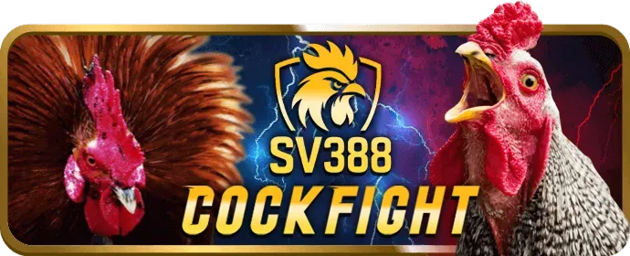 Đội ngũ bigbet88 nhà cái làm việc cùng nhau để thực hiện sứ mệnh